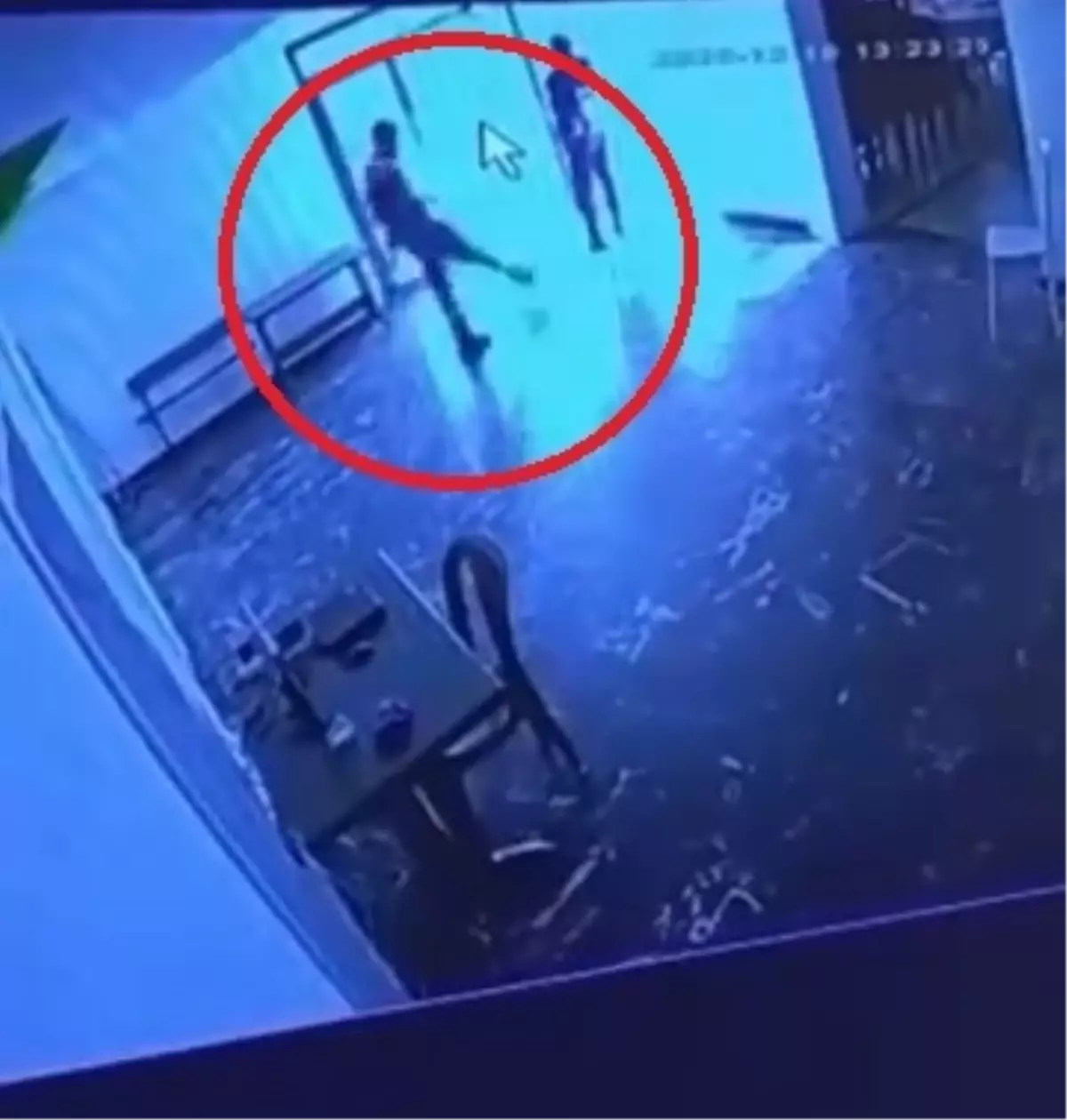 Belediyeye ait tesiste kediye tekmeli müdahale kamerada