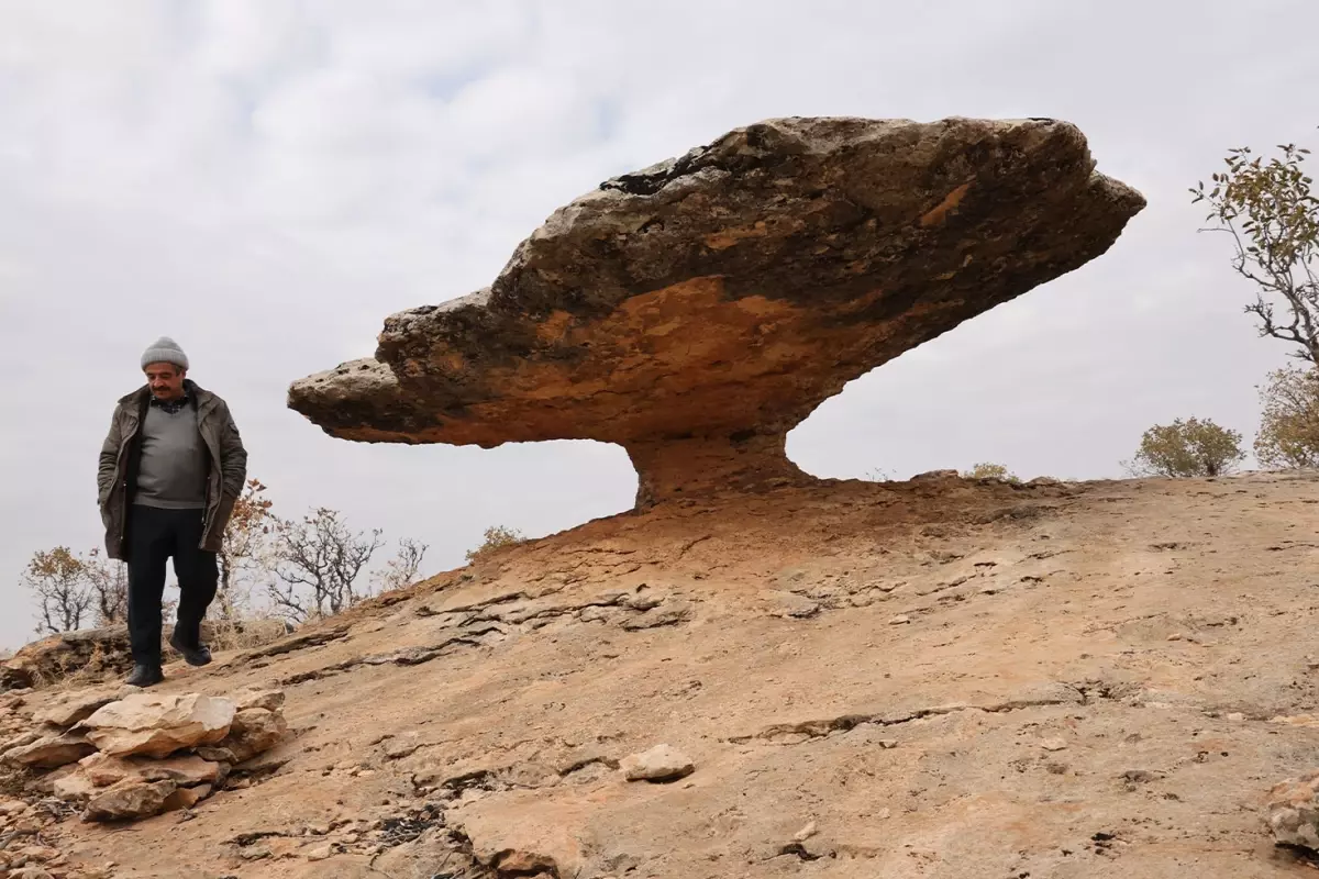 Diyarbakır'da buzul çağ kalıntısı! Hala hareket ediyor, görenler dönüp bir daha bakıyor