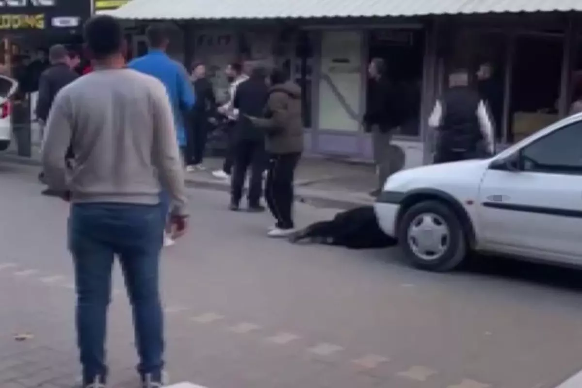 Eşini sokak ortasında katletti, elini kolunu sallayarak kayıplara karıştı