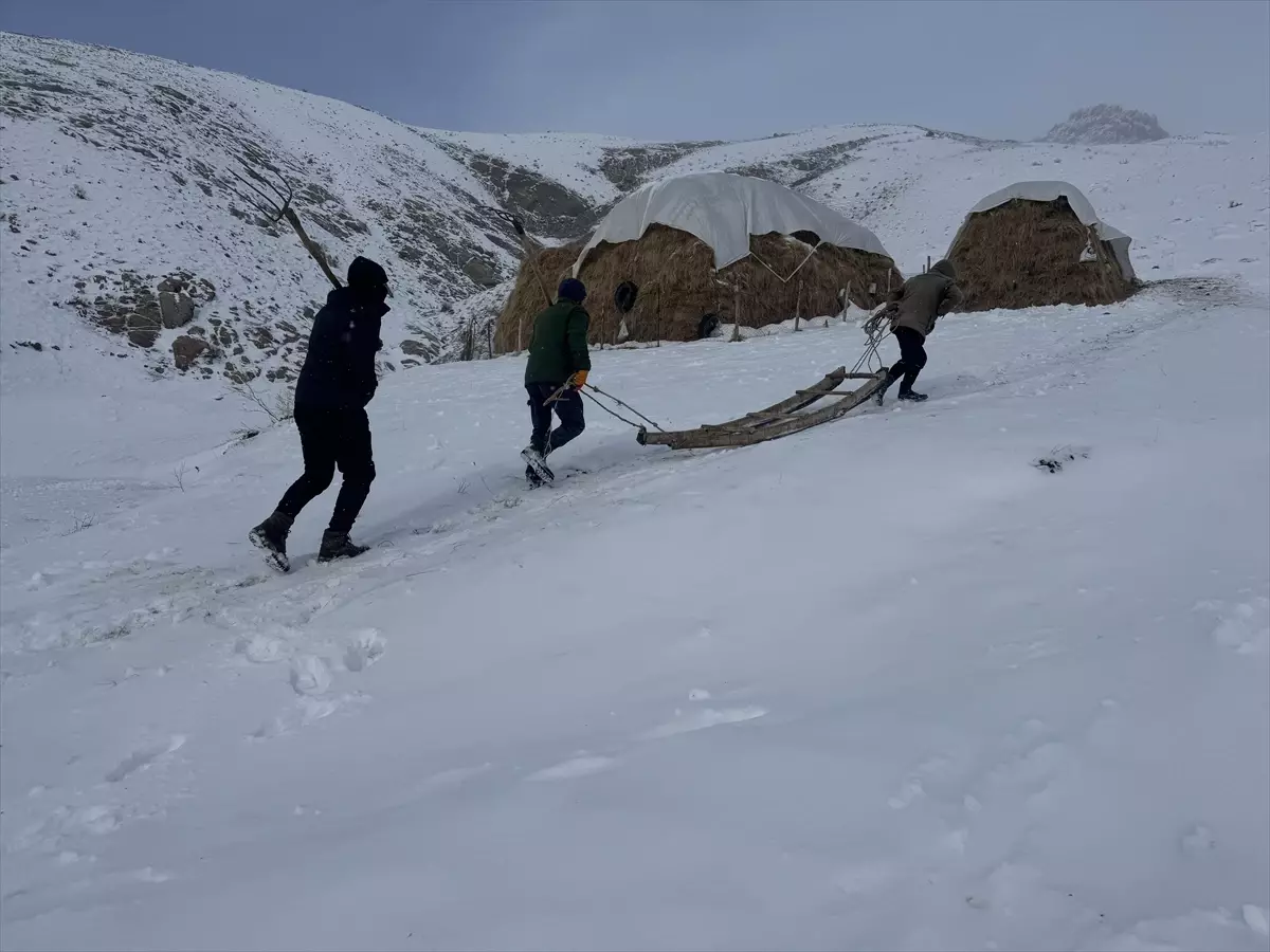 Hakkari'de besiciler hayvanları için kar ve soğukla mücadele ediyor