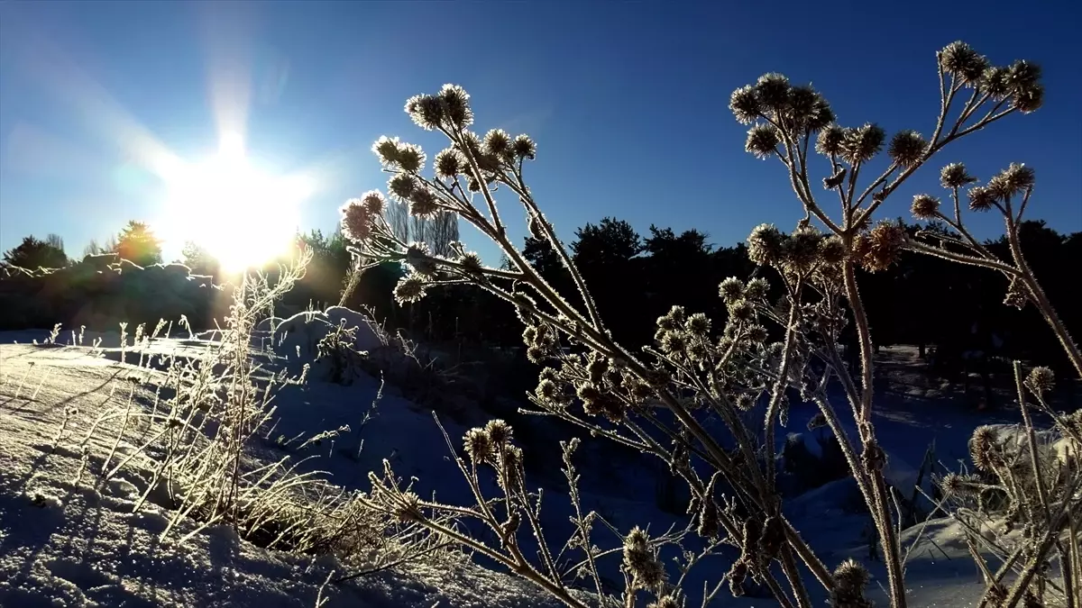 Kars ve Ardahan'da soğuk hava etkisini sürdürüyor