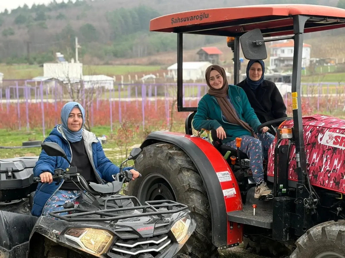Kentten kırsala dönüp yaban mersini yetiştiren kadınlar, hemcinslerinin de bütçelerine katkı sağlıyor