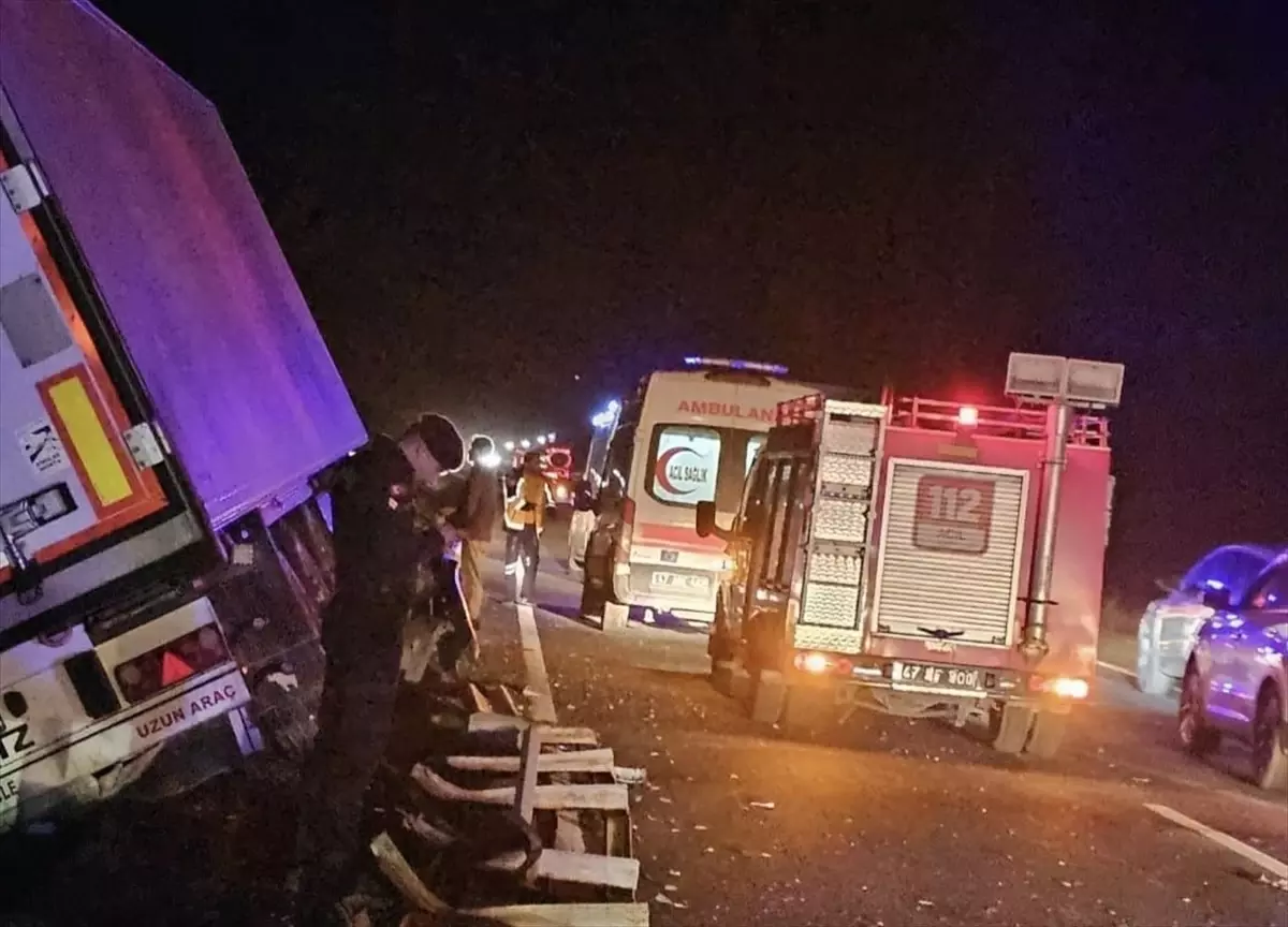 Mardin'de bariyerlere çarpan tırın sürücüsü yaralandı