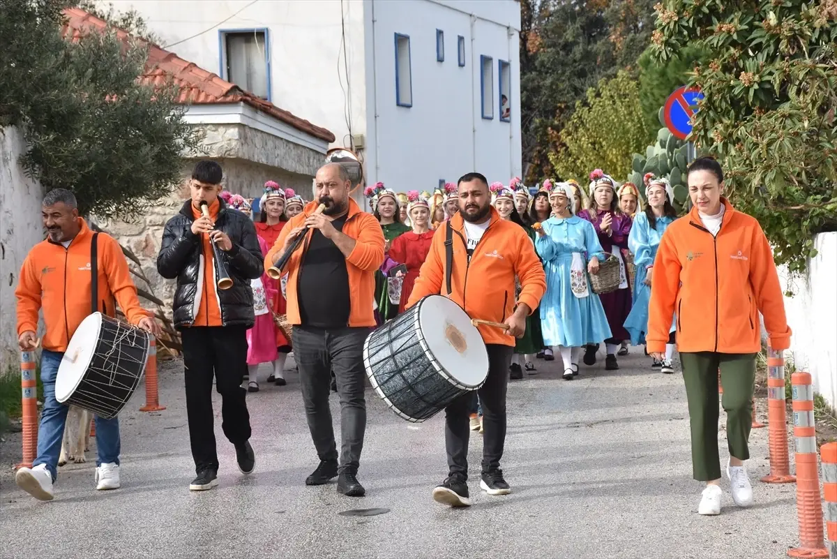 Muğla'da 'Bodrum Mandalin Festivali' düzenlendi