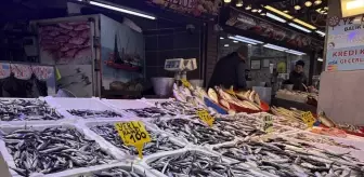 Trabzon'da hamsi ve istavrit 100 liradan satılıyor