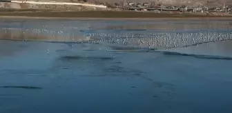 Van'daki Sıhke Gölü'nün yüzeyi kısmen buzla kaplandı