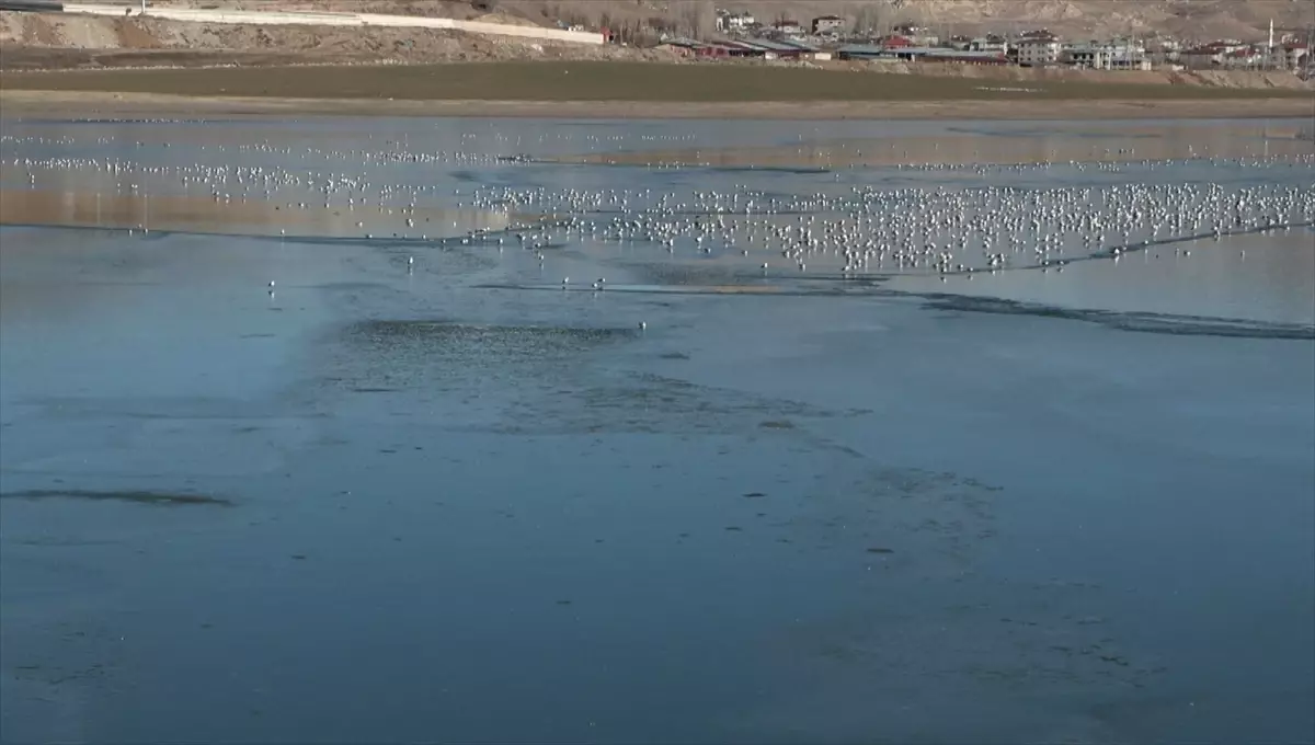 Van'daki Sıhke Gölü'nün yüzeyi kısmen buzla kaplandı