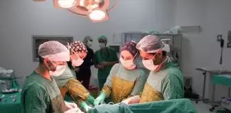 Malatya'da bir hastanın böbreğinden 2 kilo 200 gram tümör çıkarıldı