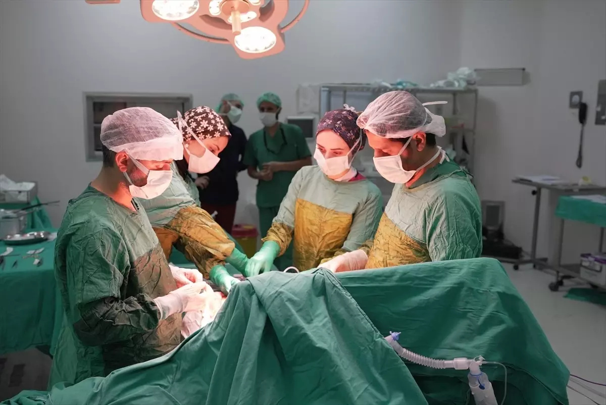 Malatya'da bir hastanın böbreğinden 2 kilo 200 gram tümör çıkarıldı