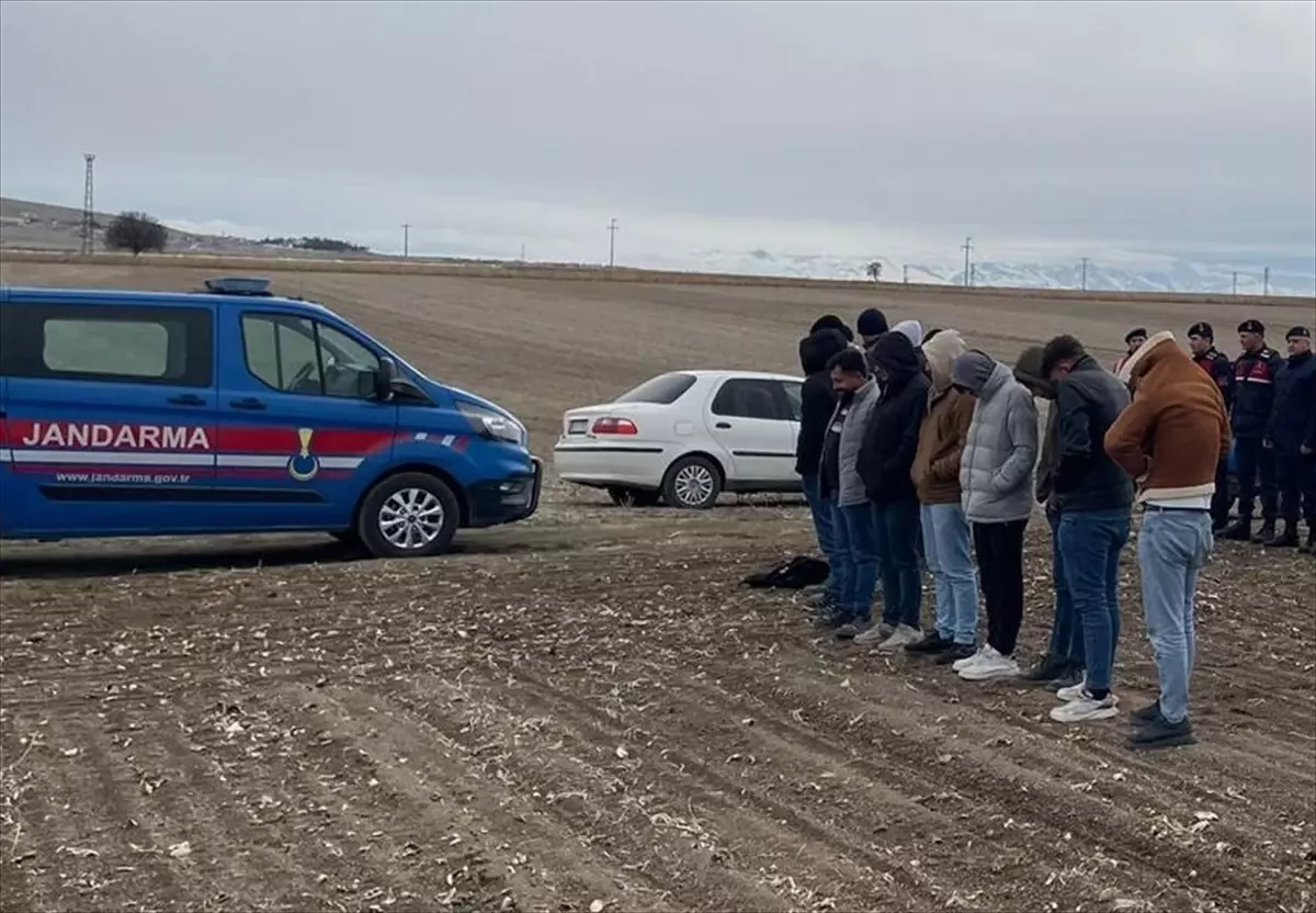 Nevşehir'de köpek dövüştüren 19 kişi hakkında işlem başlatıldı