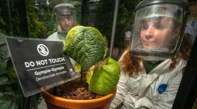 Содержится в специальной охране, толкает прикоснувшегося к самоубийству из-за боли