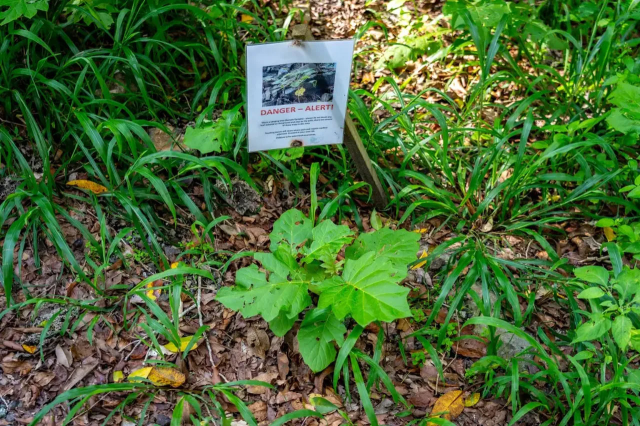 Содержится в специальной охране, толкает прикоснувшегося к самоубийству из-за боли