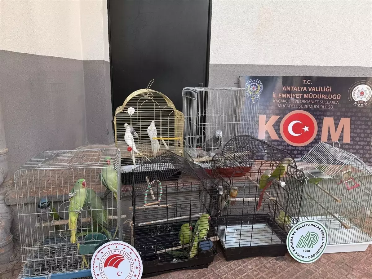 Antalya'da kaçakçılık ve organize suçlarla mücadele sürüyor