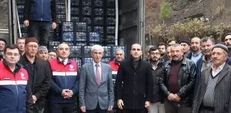 Çorum'da çiftçilere çilek fidesi ile ceviz fidanı dağıtıldı