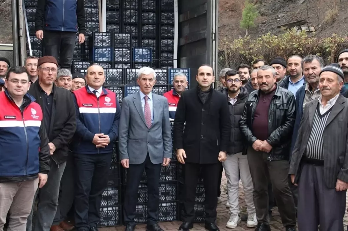 Çorum'da çiftçilere çilek fidesi ile ceviz fidanı dağıtıldı