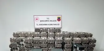 Şanlıurfa'da kripto para operasyonunda 1 şüpheli yakalandı
