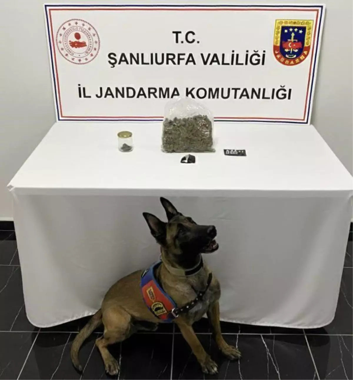 Şanlıurfa'da uyuşturucu operasyonu: 1 gözaltı