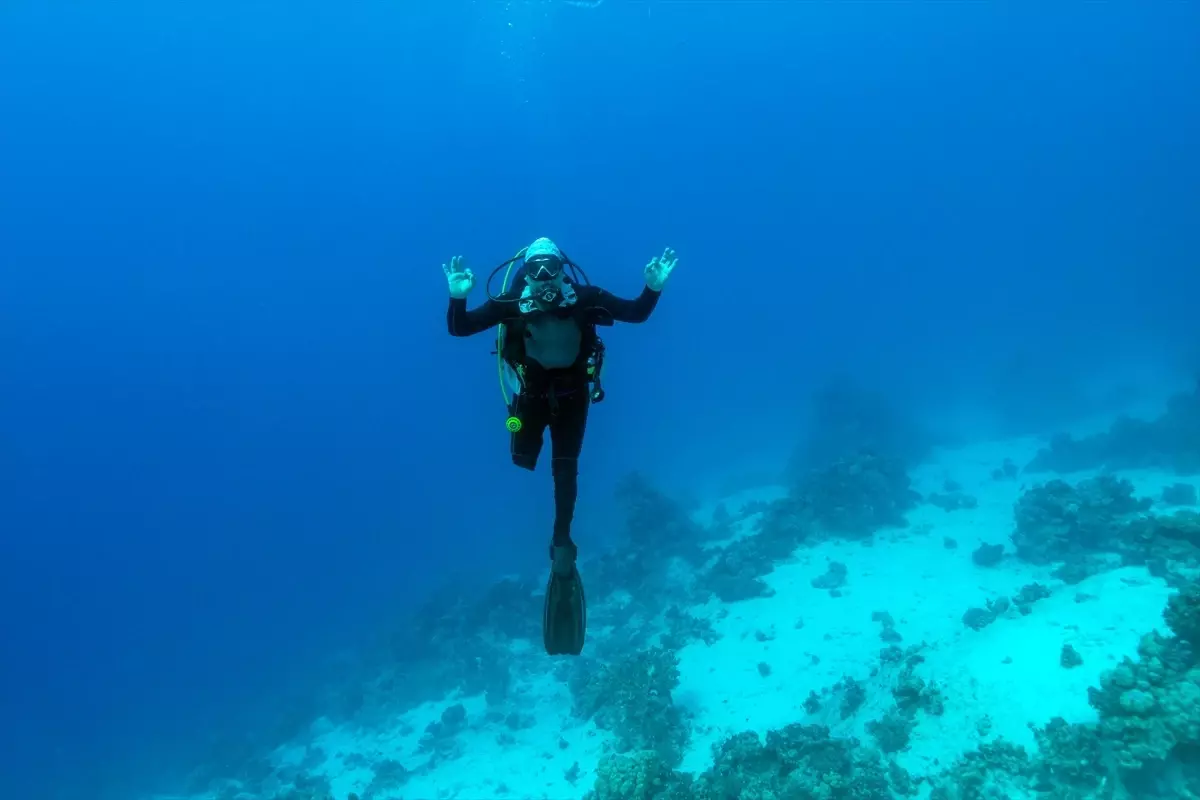 Su altı görüntü yönetmeni Tahsin Ceylan bedensel engelli Özgür Akçı'yla Kızıldeniz'e daldı