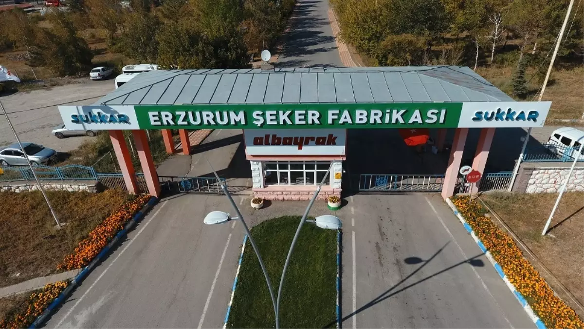 Sukkar Şeker 2025'te 515 bin ton net pancar işlediğini duyurdu