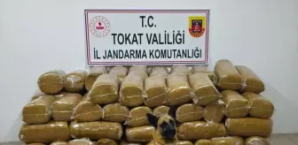 Tokat'ta 485 kilogram kaçak tütün ele geçirildi
