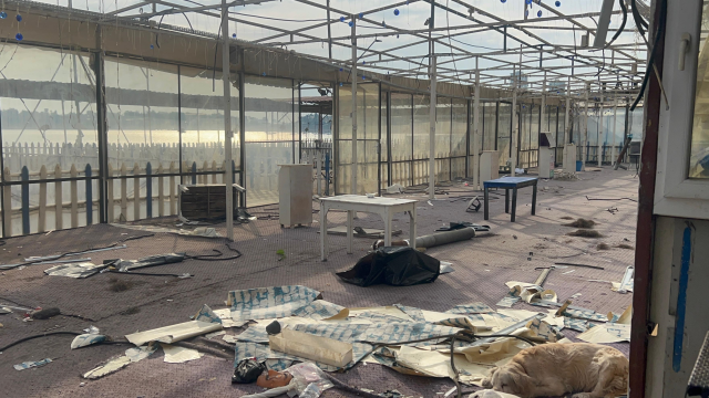 Сопротивляясь полиции, пришедшей на снос, он нанес себе вред ножом