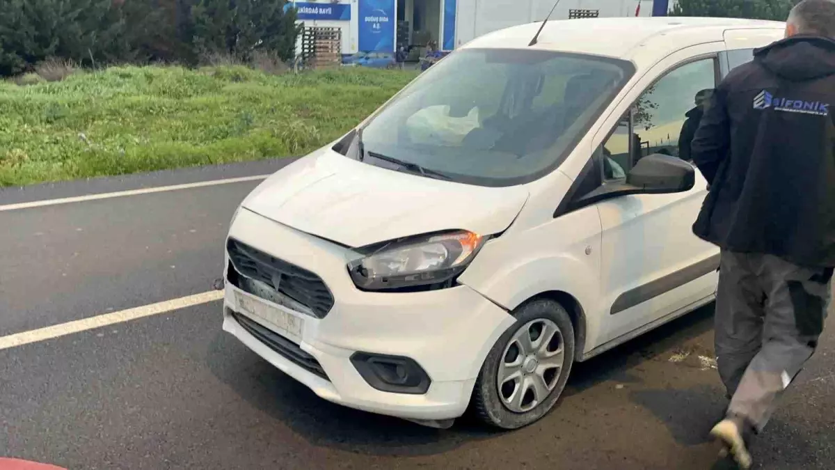 Başıboş köpeğe çarpan aracın sürücüsü yaraladı