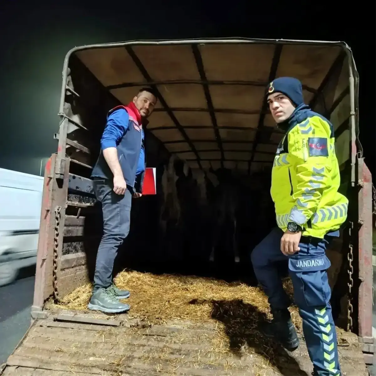 Belgesiz hayvan sevkine ceza: Hayvanlar işletmeye iade edildi