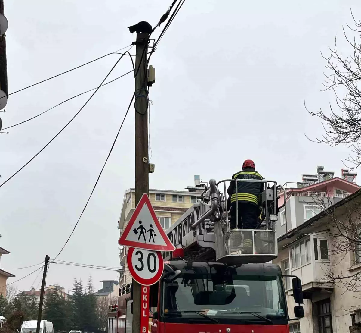 Beyşehir'de itfaiye merdiveni bu kez direğin tepesindeki kedi için uzatıldı