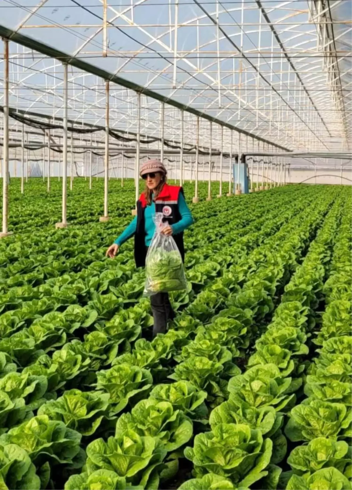 Buharkent'te sağlıklı gıda için pestisit denetimi