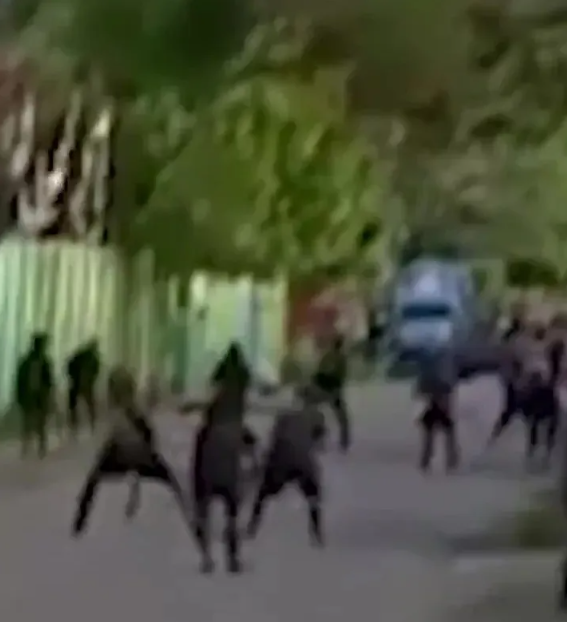 cadde ortasinda kabile savasi ok ve yaylarla 19387170 9561 m