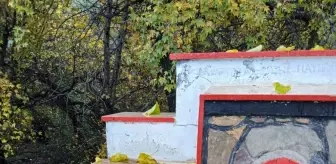 Datça'da beş çeşmeye 'içilemez' uyarısı