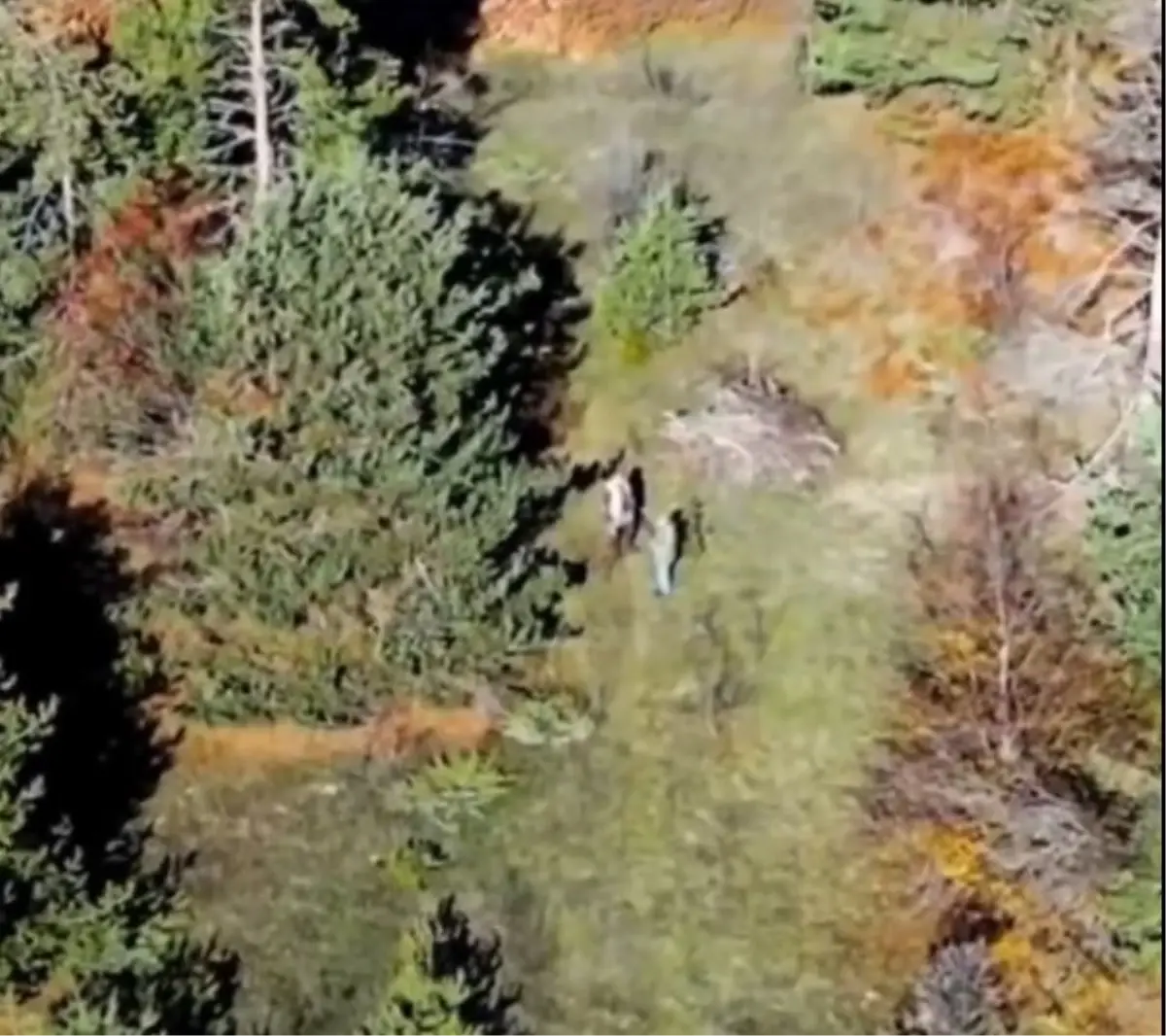 Dron ve fotokapan destekli doğa koruma denetimi; 4 kişiye işlem yapıldı