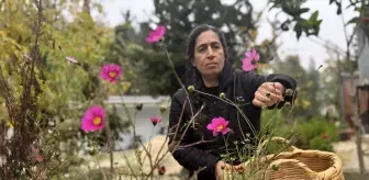 El emeği ipeği özgün tasarımlara dönüştürüyor