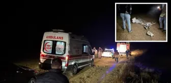 Esenboğa'dan kalkan özel jet düştü! Uçaktakiler hayatını kaybetti