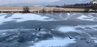 Kars ve Ardahan'da soğuk hava etkili oluyor