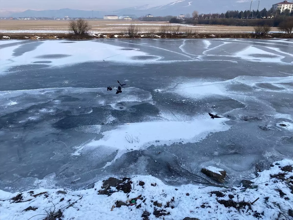 Kars ve Ardahan'da soğuk hava etkili oluyor