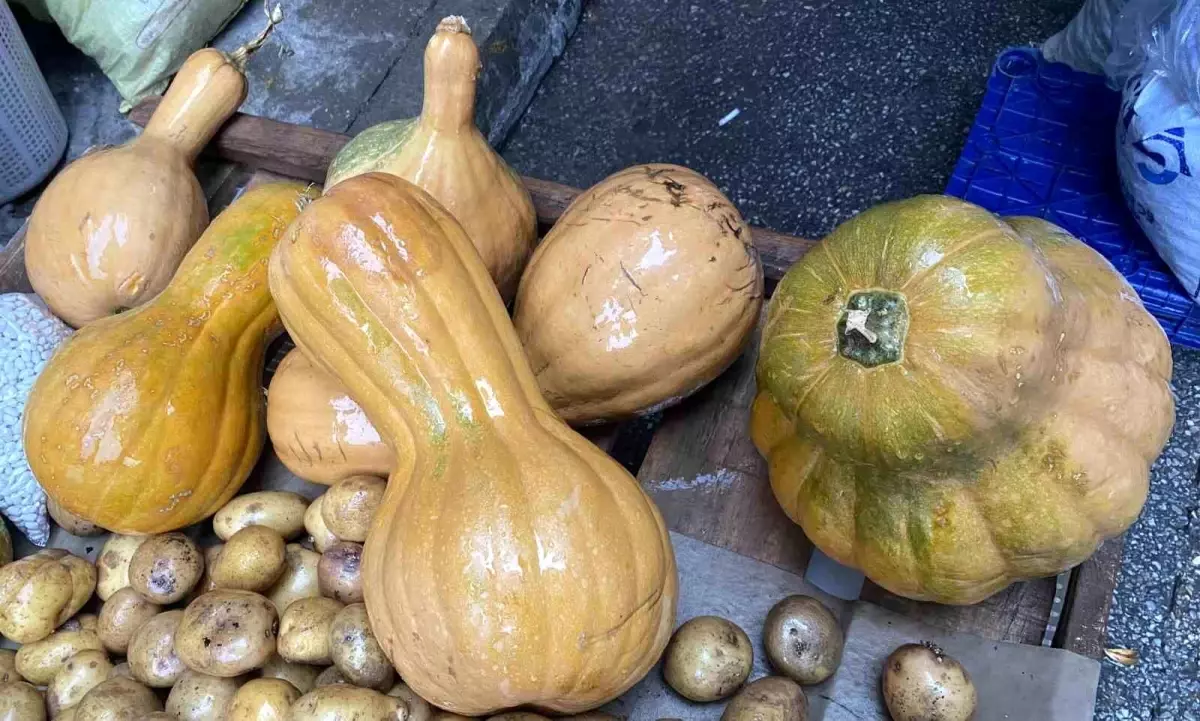 Kendisi ayrı, çekirdeği ayrı şifa kaynağı