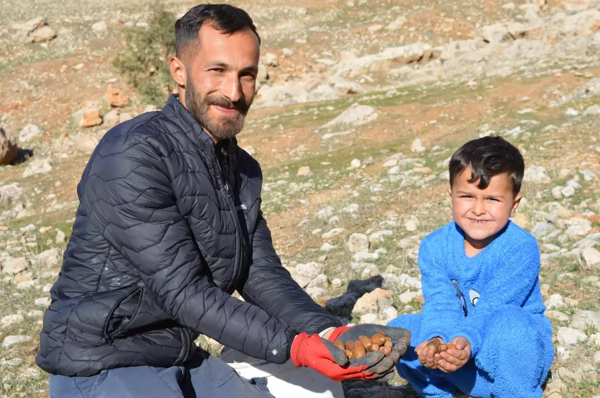 Küresel ısınmaya karşı 2 yılda 20 binden fazla tohum ekip, fidan dikti