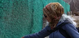 Malatya'da yaban hayvanları için doğaya yem bırakıldı