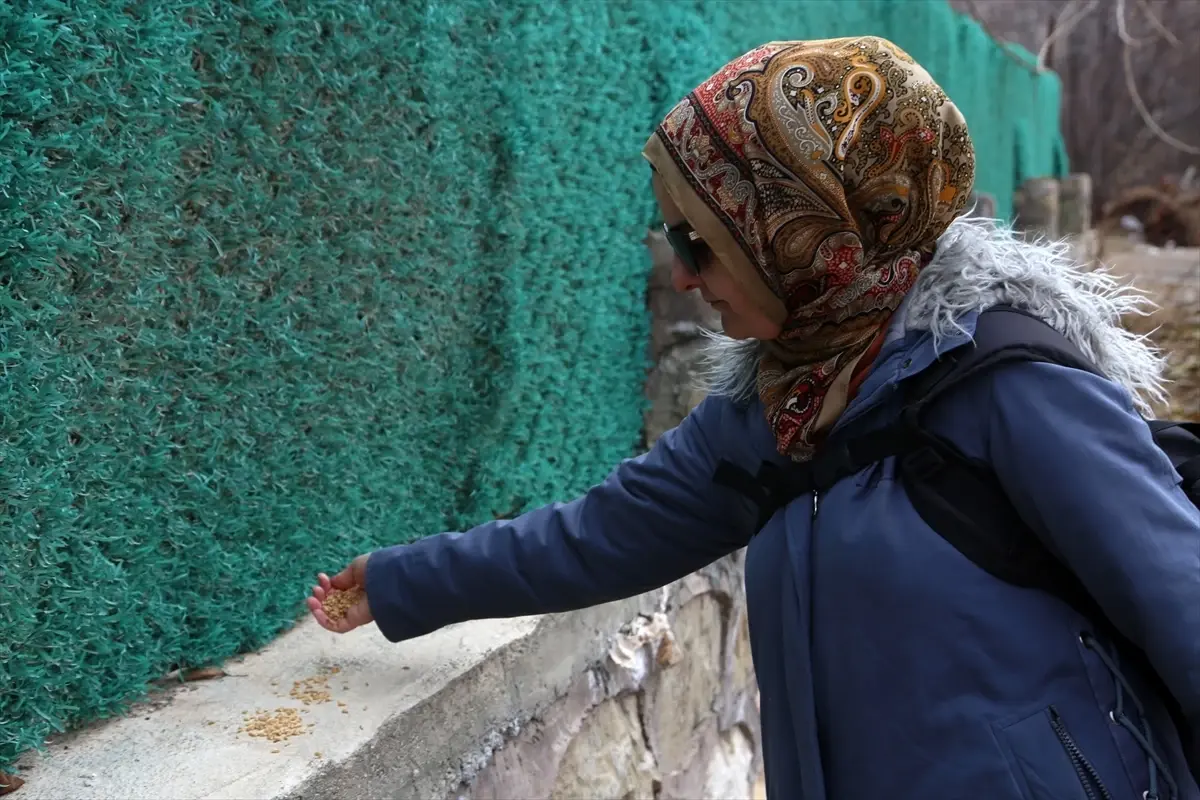 Malatya'da yaban hayvanları için doğaya yem bırakıldı
