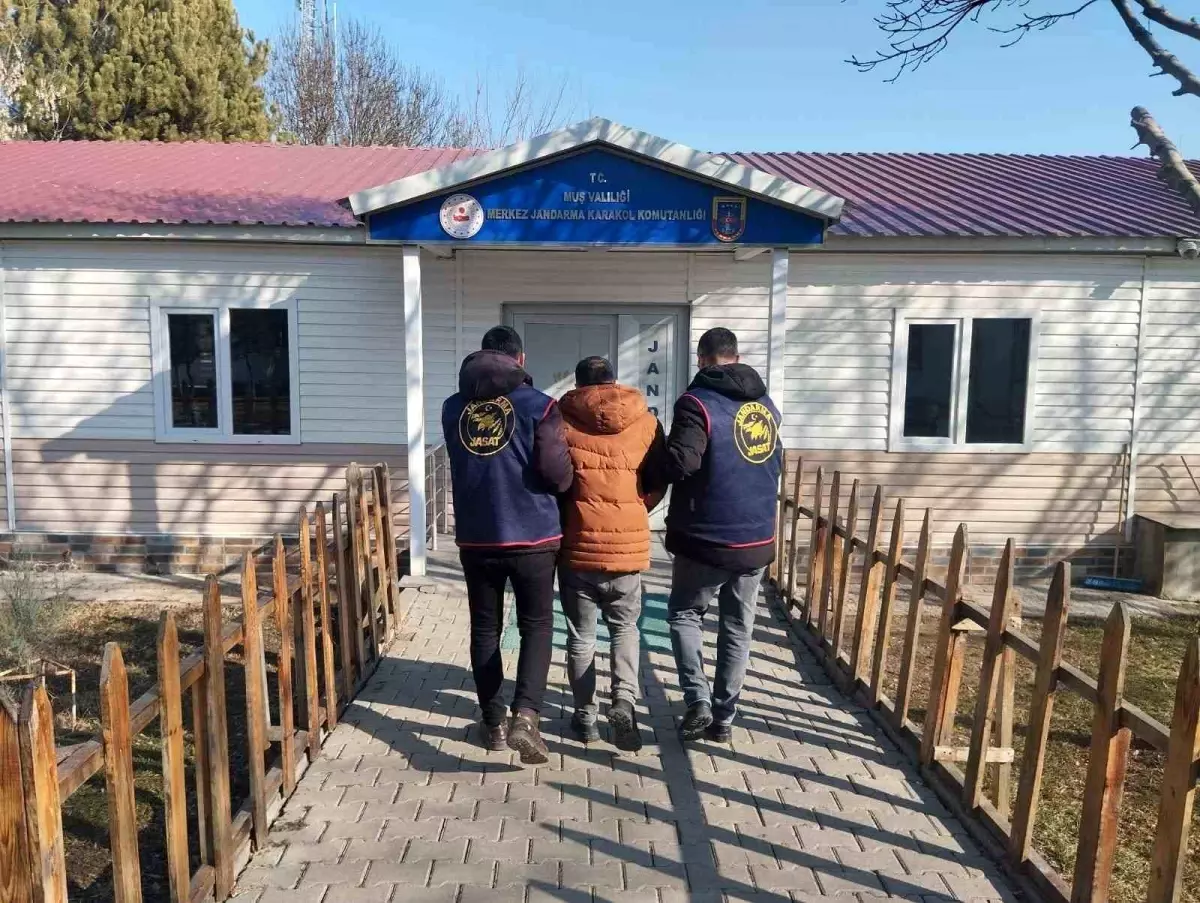 Muş'ta 2 yıl hapis cezası bulunan hükümlü yakalandı