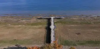 Türkiye'nin beşinci büyük gölündeki su çekilmesi her geçen gün artıyor