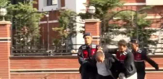 'Yenidoğan Çetesi' davasında duruşmanın görülmesine devam ediliyor