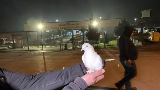 11 inci yargi paketi sonrasi cezaevleri onunde 19392593 3150 m