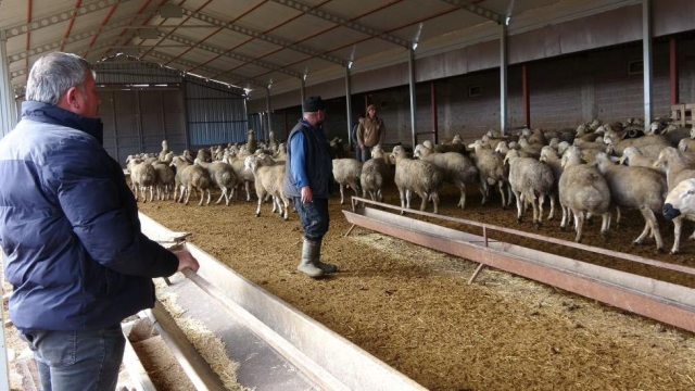 babasina kizip girdigi iste paraya para demiyor 19391727 7167 m