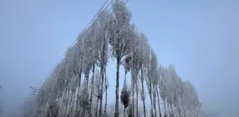 Hakkari'de soğuk hava ve sis etkili oldu