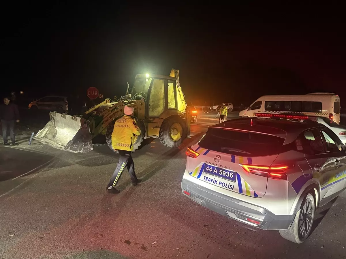 Malatya'da aracın çarptığı 6 safkan Arap tayı telef oldu