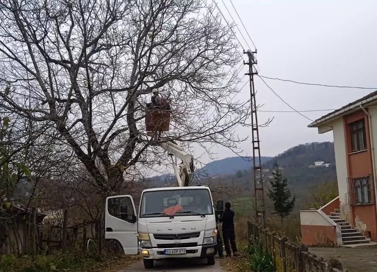 Ordu'da elektrik tellerine temas eden ağaç dalları kesildi