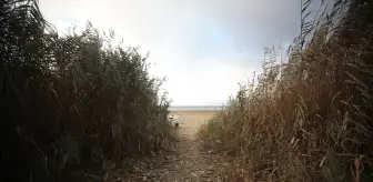 SAPANCA GÖLÜ ALARM VERİYOR - Sapanca Gölü'nde bütün hesaplar 'sürdürülebilir koruma' üzerine