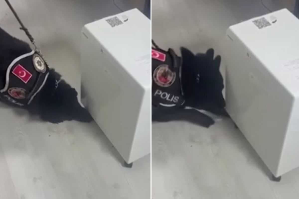 Solunum cihazının içerisinden 5 kilogram uyuşturucu madde çıktı